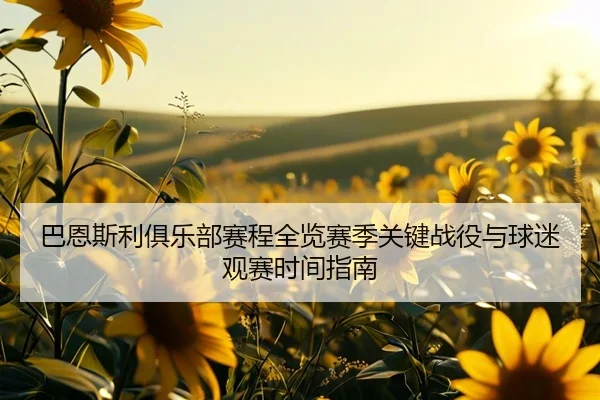 ba-en-si-li-ju-le-bu-sai-cheng-quan-lan-sai-ji-guan-jian-zhan-yi-yu-qiu-mi-guan-sai-shi-jian-zhi-nan-2-557.jpg