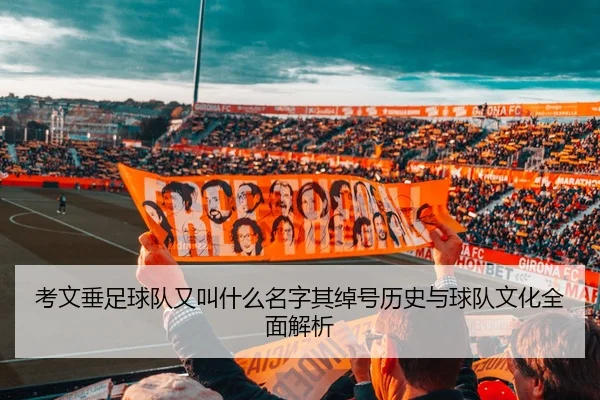 考文垂足球队又叫什么名字其绰号历史与球队文化全面解析